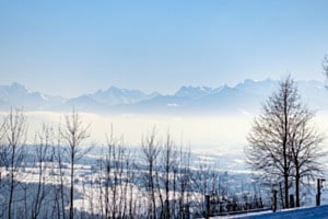 Winternebel