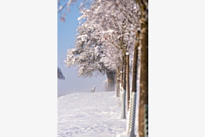 Winterdunst