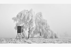 Eiszeit 