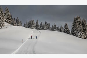 Winterspaziergang