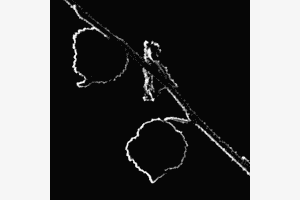 Blatt mit Reuhreif