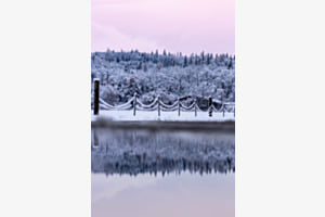 Spieglung