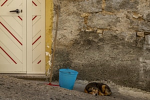 Colorful Sardinia