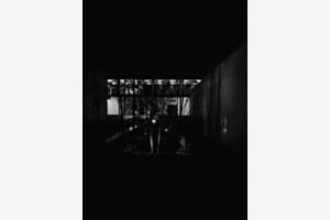 Dark Light 