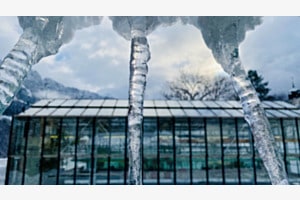 Eiszapfen vor Gewächshaus