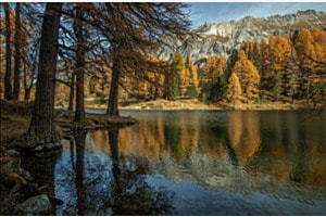 Goldener Herbst im Albulatal