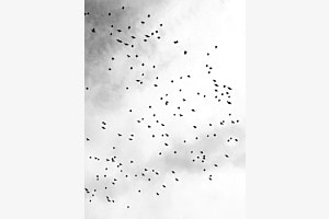 a cloudy day