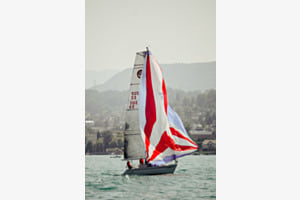 Regatta 