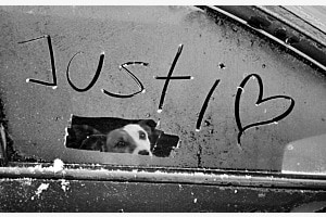 Justi