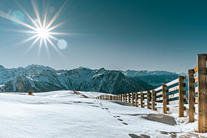Snowy Winterdays