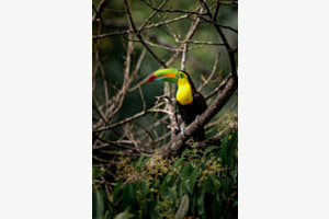 Colors of Costa Rica