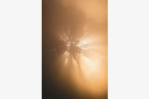 Light in the Fog