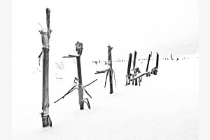 Feld Feld