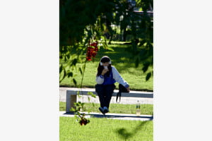 Mittagspause im Park