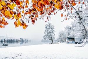 Herbst trifft auf Winter