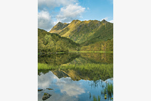 Spieguglatt