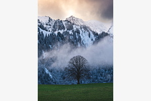 Winterboum