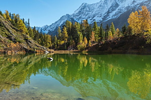 Schwarzsee