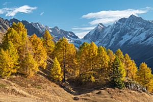 Lötschental