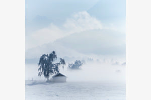 Winterland