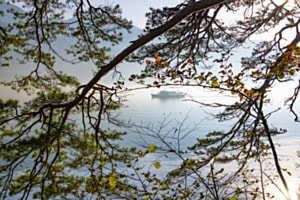 Nebelfahrt auf dem Vierwaldstättersee