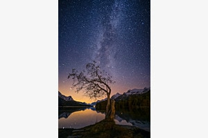 nightsky nightsky
