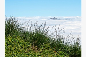 paraclouds_2