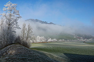 Bowil im Frost
