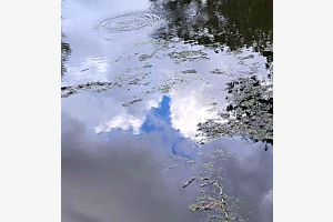 a cloudy day