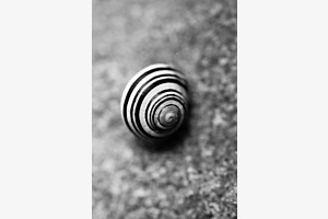 la spirale