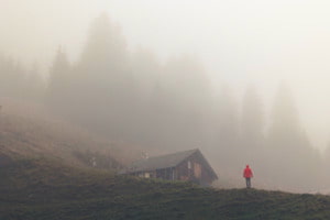 Moody chalet