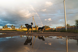 Streets of Mongolia