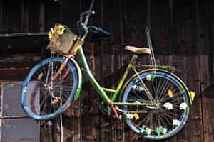 Velo