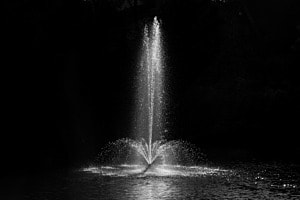 Weiher