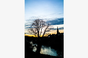 Spring Sunset Behind the Tree at Aare with Bern Skyline
