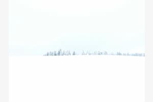 whiteout 01