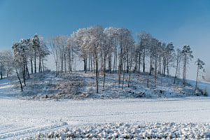 Winter Wunderland