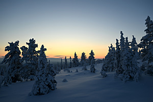 Cold Calm