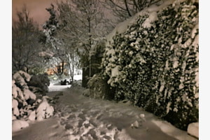 Wintergruss