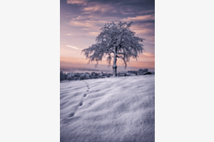 Winterland