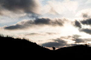 Wolken