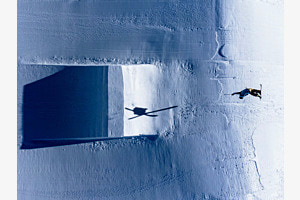 Fly and shadow! Fly and shadow!
