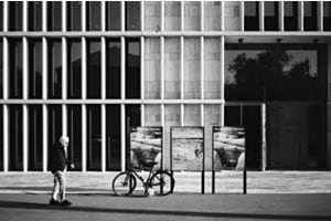 The Art Museum The Art Museum