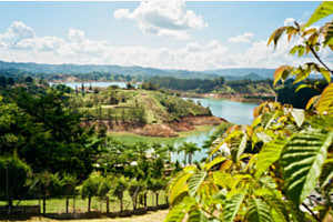 The Beauty of Nature, Colombia 2024 The Beauty of Nature, Colombia 2024