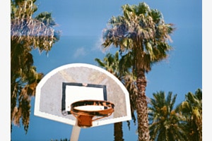 Basket & Palmiers Basket & Palmiers