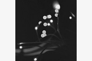 Licht im Dunkeln