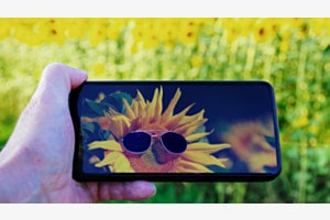 Zu viel Sonne Zu viel Sonne