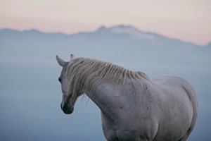 Mountain soul