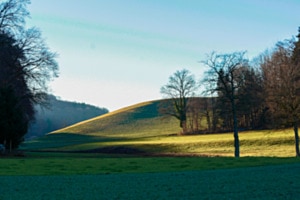 Im Schatten geborgen Im Schatten geborgen