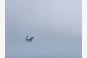 Winterstorm